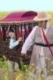 Nonton Film Queen For Seven Days Season 1 Episode 2 Terbaru Nonton Film Queen For Seven Days Season 1 Episode 2 Terbaru